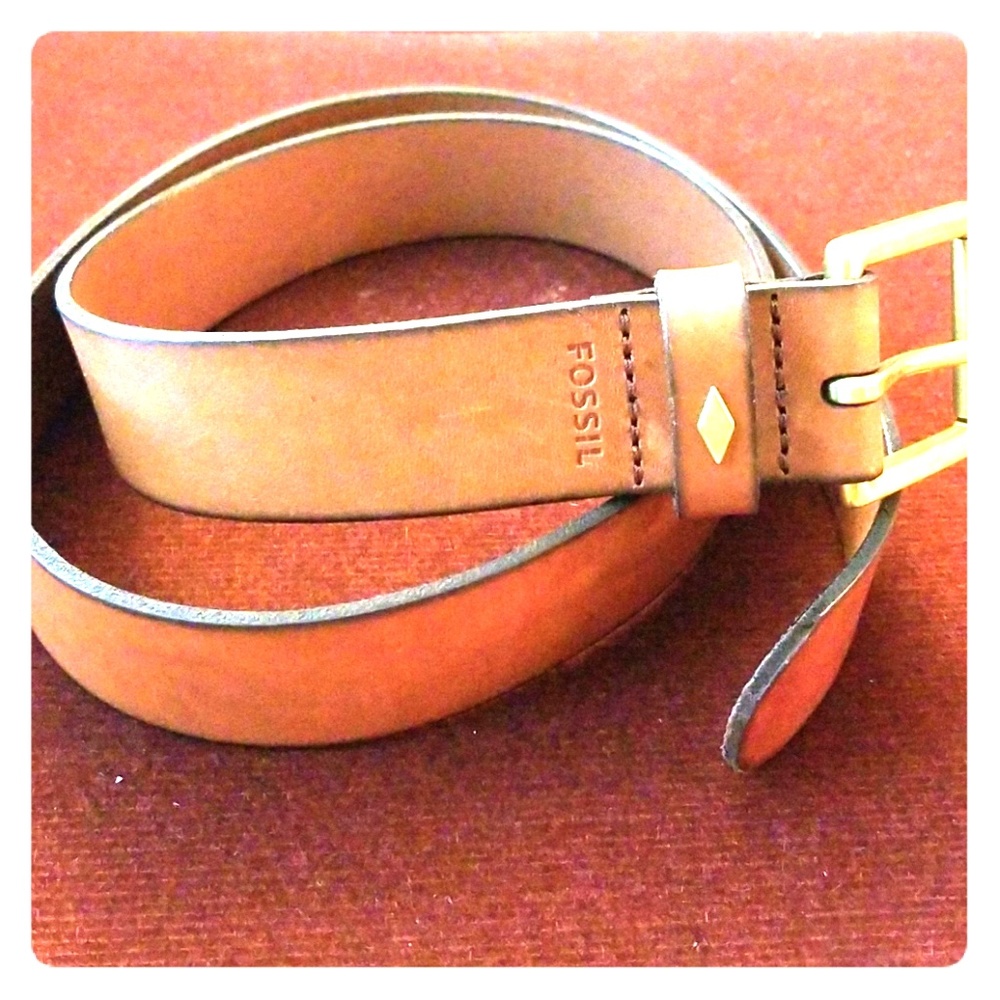 Fossil Belt